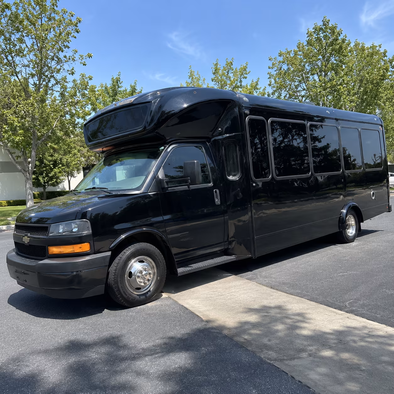 Group beside a Mercedes Sprinter limo in Arvada